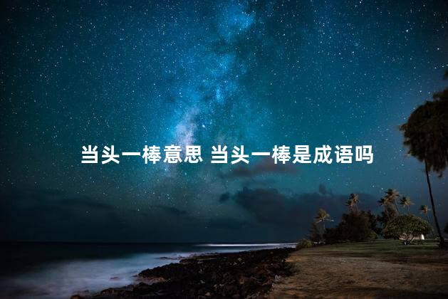 当头一棒意思 当头一棒是成语吗